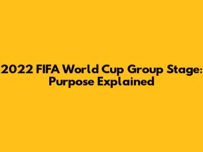 2022 FIFA World Cup Group Stage: Purpose Explained
