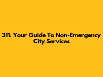 311: Your Guide To Non-Emergency City Services