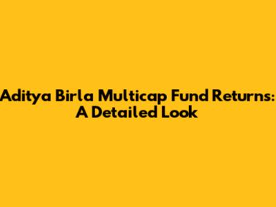 Aditya Birla Multicap Fund Returns: A Detailed Look