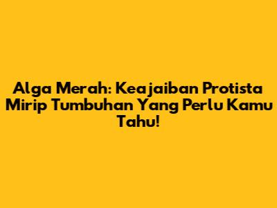 Alga Merah: Keajaiban Protista Mirip Tumbuhan Yang Perlu Kamu Tahu!