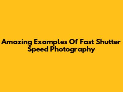 Amazing Examples Of Fast Shutter Speed Photography
