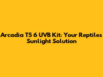Arcadia T5 6 UVB Kit: Your Reptile's Sunlight Solution