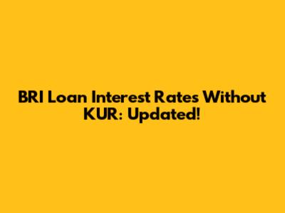 BRI Loan Interest Rates Without KUR: Updated!