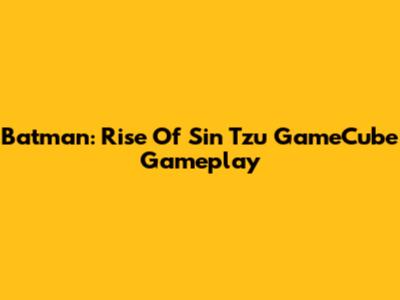 Batman: Rise Of Sin Tzu GameCube Gameplay