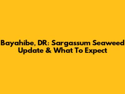 Bayahibe, DR: Sargassum Seaweed Update & What To Expect