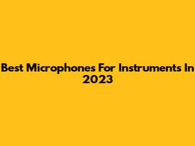 Best Microphones For Instruments In 2023