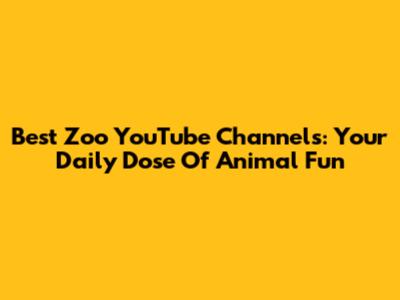 Best Zoo YouTube Channels: Your Daily Dose Of Animal Fun