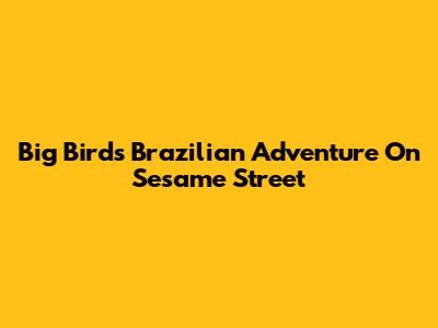 Big Bird's Brazilian Adventure On Sesame Street
