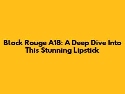 Black Rouge A18: A Deep Dive Into This Stunning Lipstick