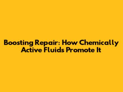 Boosting Repair: How Chemically Active Fluids Promote It