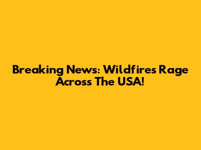 Breaking News: Wildfires Rage Across The USA!