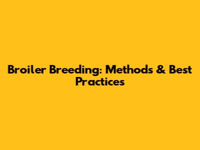 Broiler Breeding: Methods & Best Practices
