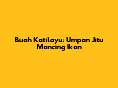 Buah Katilayu: Umpan Jitu Mancing Ikan