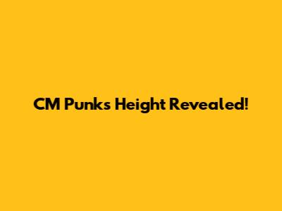 CM Punk's Height Revealed!