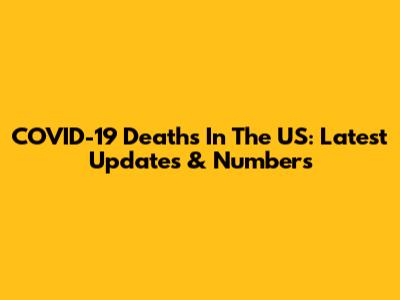 COVID-19 Deaths In The US: Latest Updates & Numbers