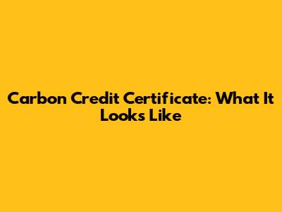 Carbon Credit Certificate: What It Looks Like