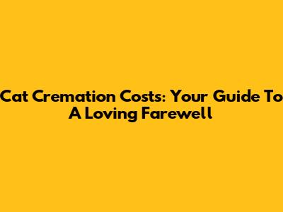 Cat Cremation Costs: Your Guide To A Loving Farewell