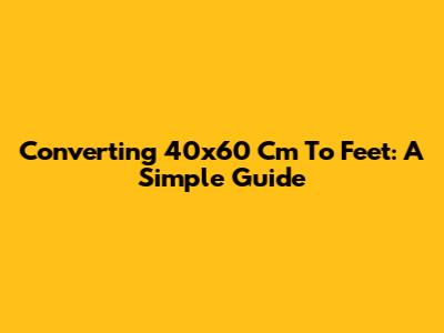 Converting 40x60 Cm To Feet: A Simple Guide