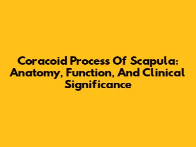 Coracoid Process Of Scapula: Anatomy, Function, And Clinical Significance