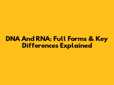 DNA And RNA: Full Forms & Key Differences Explained