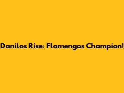 Danilo's Rise: Flamengo's Champion!