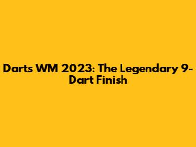 Darts WM 2023: The Legendary 9-Dart Finish