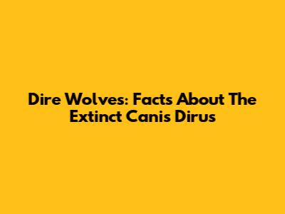 Dire Wolves: Facts About The Extinct Canis Dirus
