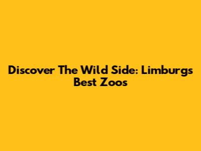 Discover The Wild Side: Limburg's Best Zoos