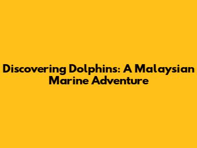 Discovering Dolphins: A Malaysian Marine Adventure