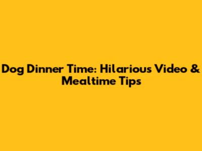 Dog Dinner Time: Hilarious Video & Mealtime Tips