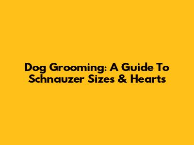 Dog Grooming: A Guide To Schnauzer Sizes & Hearts