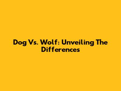 Dog Vs. Wolf: Unveiling The Differences