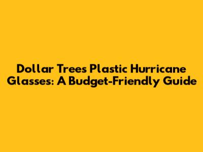 Dollar Tree's Plastic Hurricane Glasses: A Budget-Friendly Guide