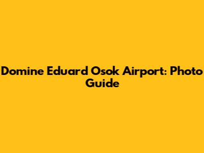 Domine Eduard Osok Airport: Photo Guide