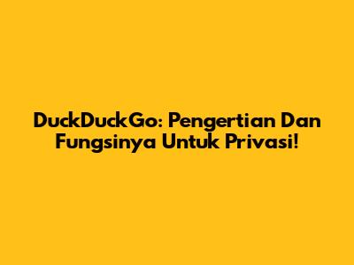 DuckDuckGo: Pengertian Dan Fungsinya Untuk Privasi!