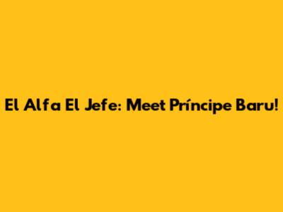 El Alfa El Jefe: Meet Príncipe Baru!
