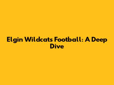 Elgin Wildcats Football: A Deep Dive