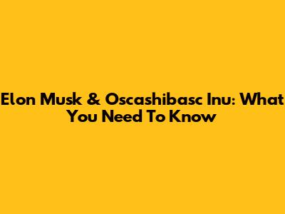 Elon Musk & Oscashibasc Inu: What You Need To Know