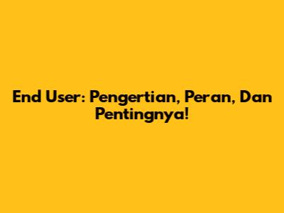 End User: Pengertian, Peran, Dan Pentingnya!