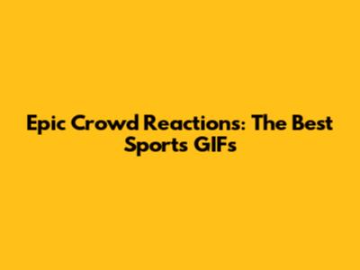 Epic Crowd Reactions: The Best Sports GIFs