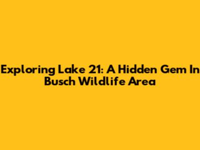 Exploring Lake 21: A Hidden Gem In Busch Wildlife Area