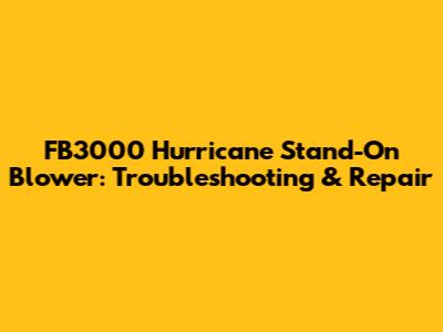 FB3000 Hurricane Stand-On Blower: Troubleshooting & Repair