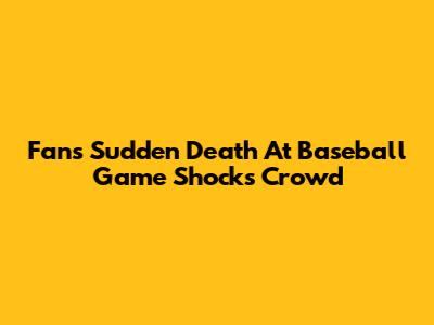 Fan's Sudden Death At Baseball Game Shocks Crowd