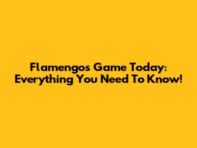 Flamengo's Game Today: Everything You Need To Know!