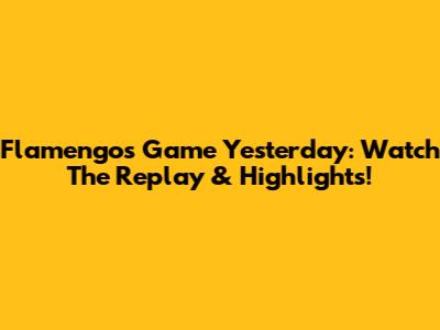 Flamengo's Game Yesterday: Watch The Replay & Highlights!
