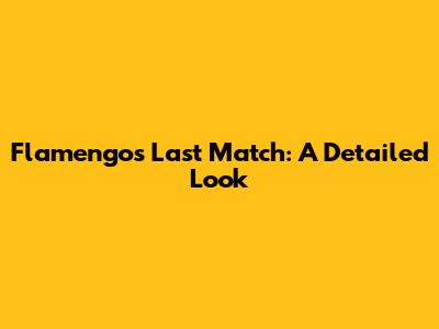 Flamengo's Last Match: A Detailed Look