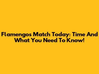 Flamengo's Match Today: Time And What You Need To Know!