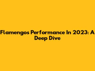 Flamengo's Performance In 2023: A Deep Dive