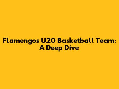 Flamengo's U20 Basketball Team: A Deep Dive