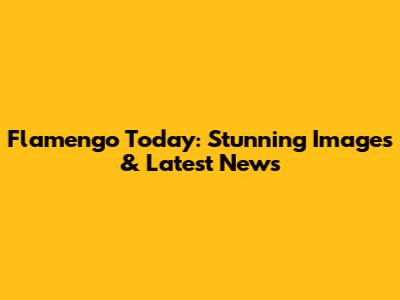 Flamengo Today: Stunning Images & Latest News